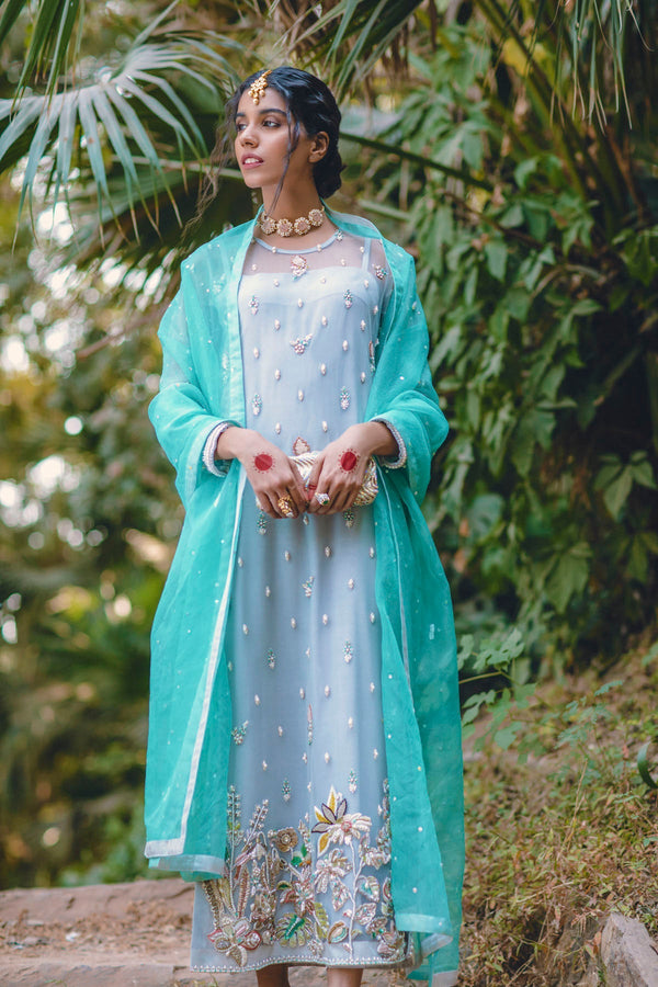 ARID TEAL